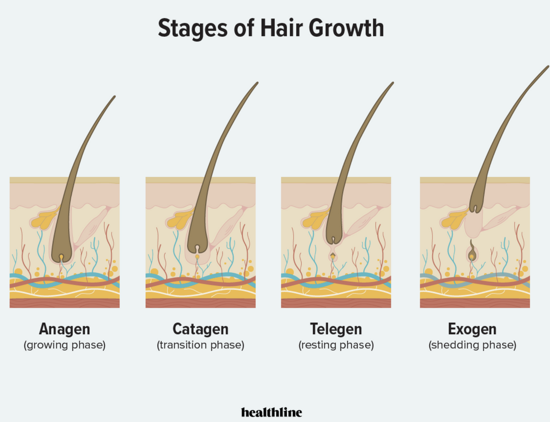 Why Scalp Health is Paramount for Hair Growth